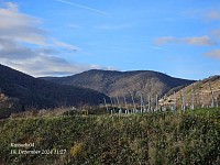 Ahrweiler Weinberge