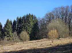 Schalksmühle